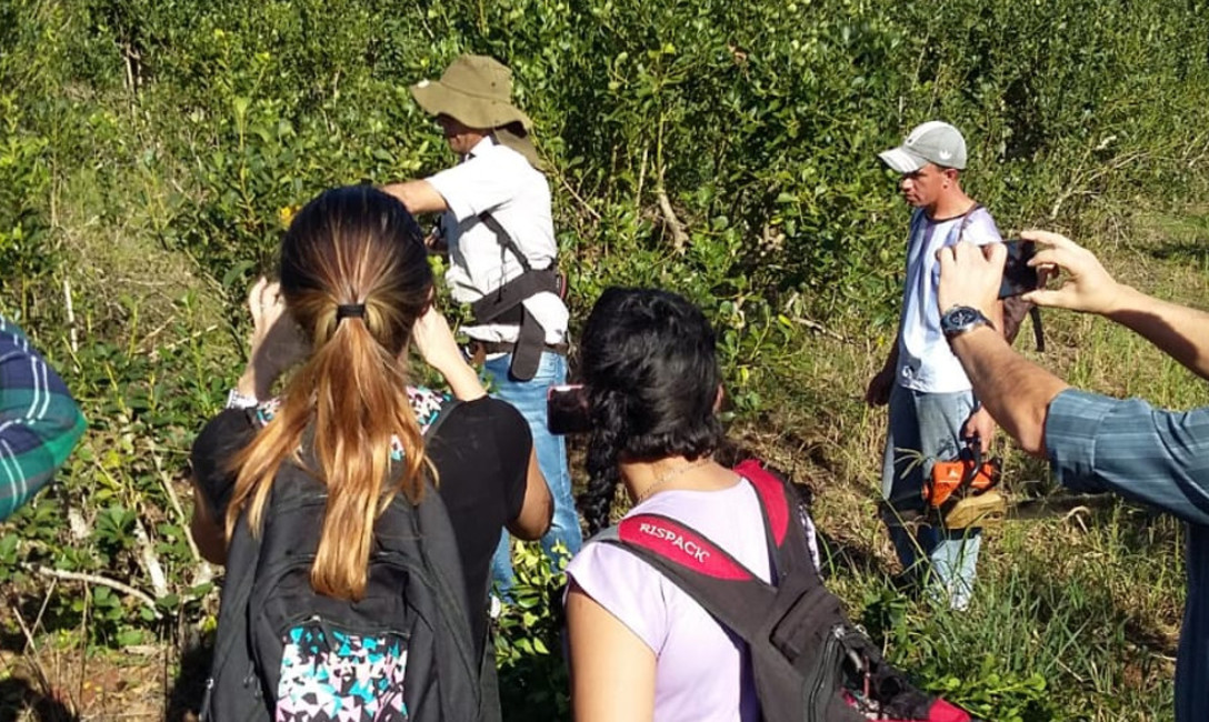 Imagen de Capacitación a trabajadores de prensa Imagen de Capacitación a trabajadores de prensa