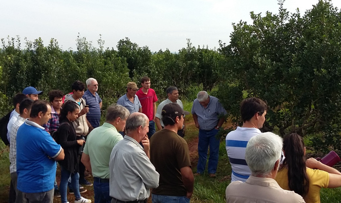 Imagen de Julio, mes de capacitaci&oacute;n para tareferos en San Vicente y Monte Carlo