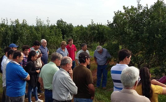 Imagen de Julio, mes de capacitación para tareferos en San Vicente y Monte Carlo