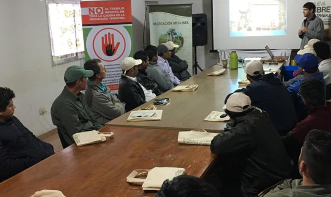 Imagen de M&aacute;s tareferos capacitados en pr&aacute;cticas de cosecha, seguridad y legislaci&oacute;n laboral