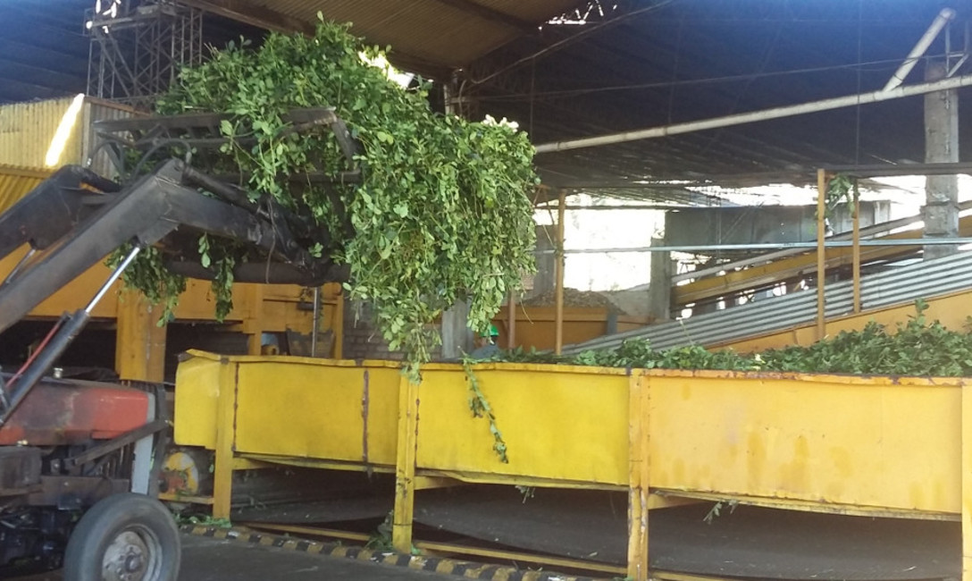 Imagen de Ya son 20 los secaderos en proceso de lograr el sello BPM Imagen de Ya son 20 los secaderos en proceso de lograr el sello BPM