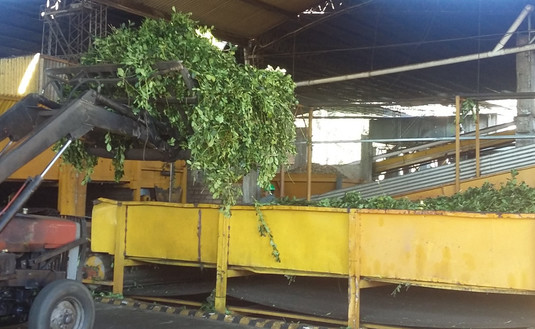 Imagen de Ya son 20 los secaderos en proceso de lograr el sello BPM 