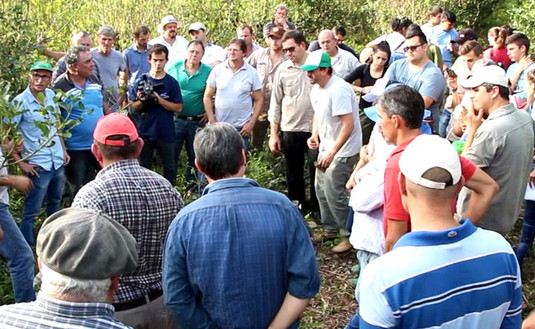 Imagen de Capacitación sobre Mal de la Tela en Santo Pipó