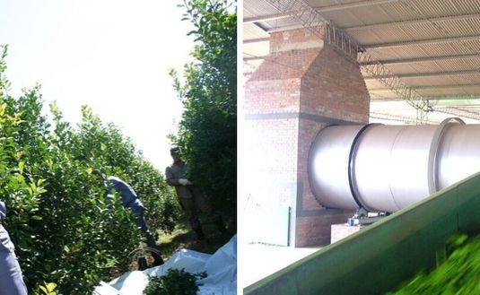 Imagen de Rige la suspensión de cosecha y secanza