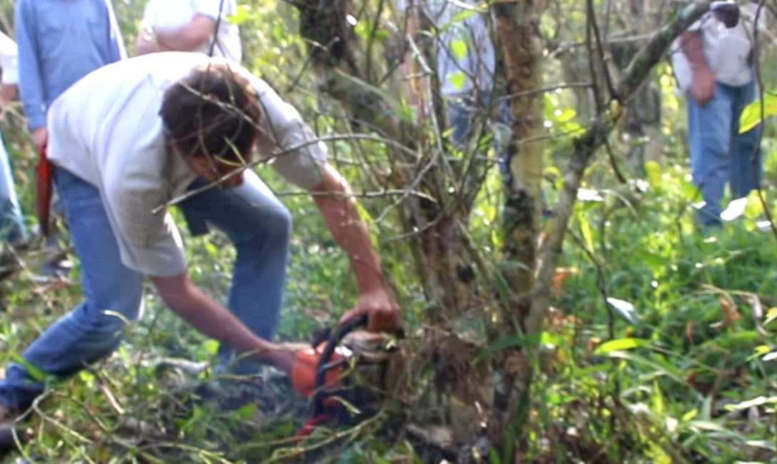 Imagen de Facilitamos la compra de motosierras Imagen de Facilitamos la compra de motosierras