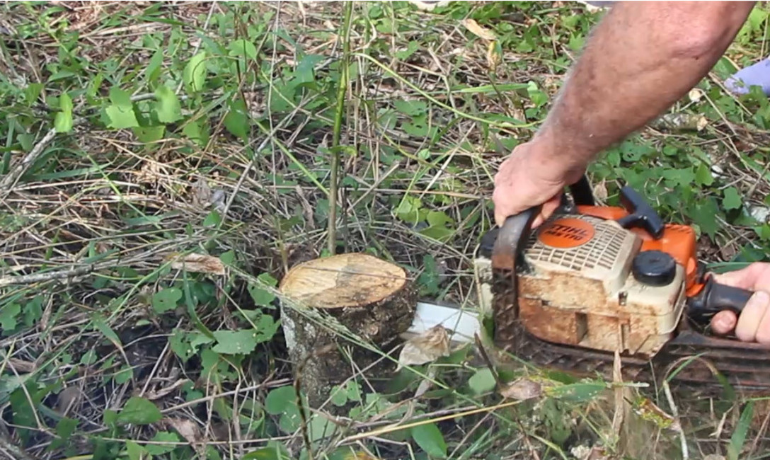 Imagen de Más productores pueden acceder al Programa de Motoguadañas y Motosierras Imagen de Más productores pueden acceder al Programa de Motoguadañas y Motosierras