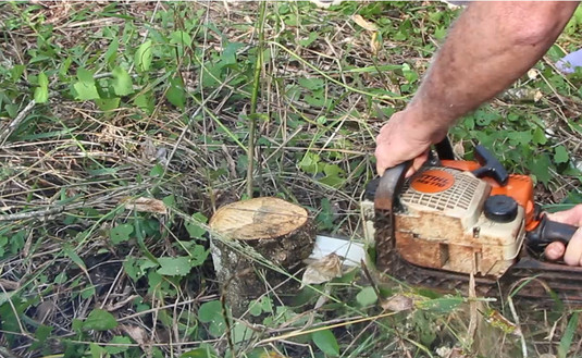 Imagen de Más productores pueden acceder al Programa de Motoguadañas y Motosierras