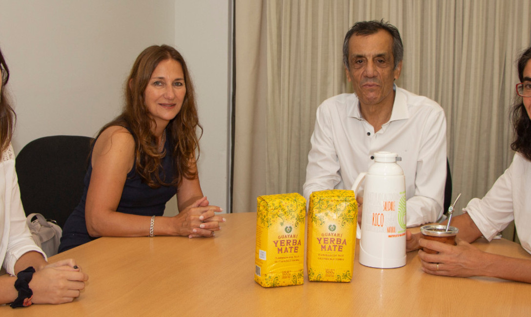 Imagen de La importancia de cultivar yerba mate bajo sombra Imagen de La importancia de cultivar yerba mate bajo sombra