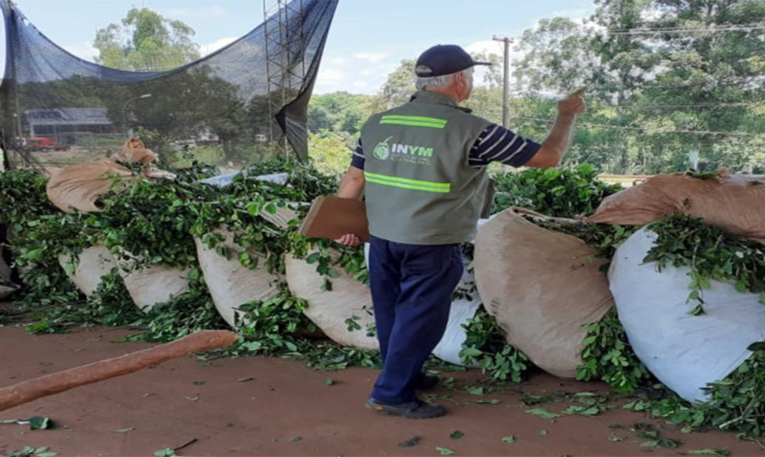 Imagen de Continúan los operativos diarios para controlar el transporte y acopio de hoja verde Imagen de Continúan los operativos diarios para controlar el transporte y acopio de hoja verde