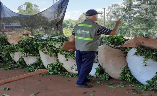 Imagen de Continúan los operativos diarios para controlar el transporte y acopio de hoja verde