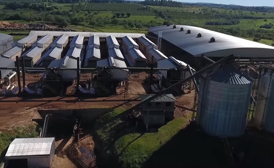 Imagen de Está abierta la inscripción de BPM para secaderos, fraccionadores y molinos