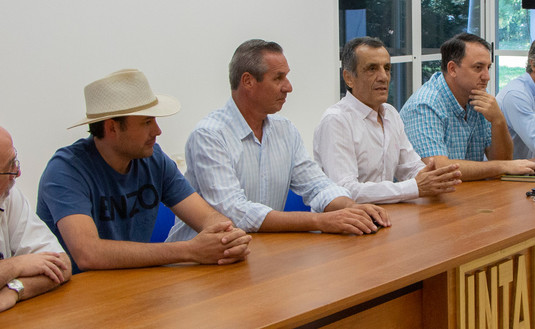 Imagen de ¿Es posible resguardar la genética de la yerba mate?