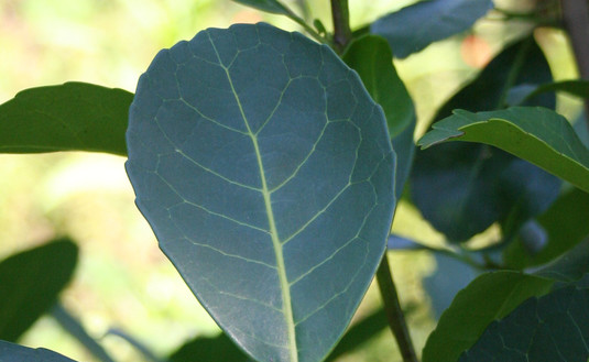 Imagen de Continuaremos la atención por medios digitales