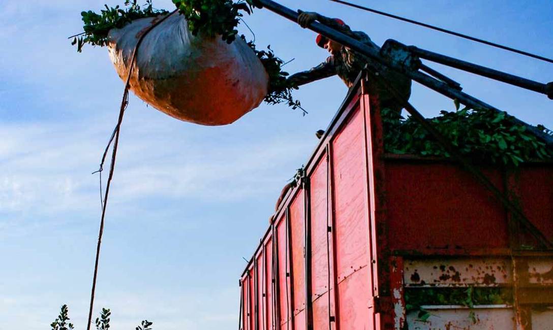 Guinches para facilitar la carga de los raidos o ponchadas. Guinches para facilitar la carga de los raidos o ponchadas.