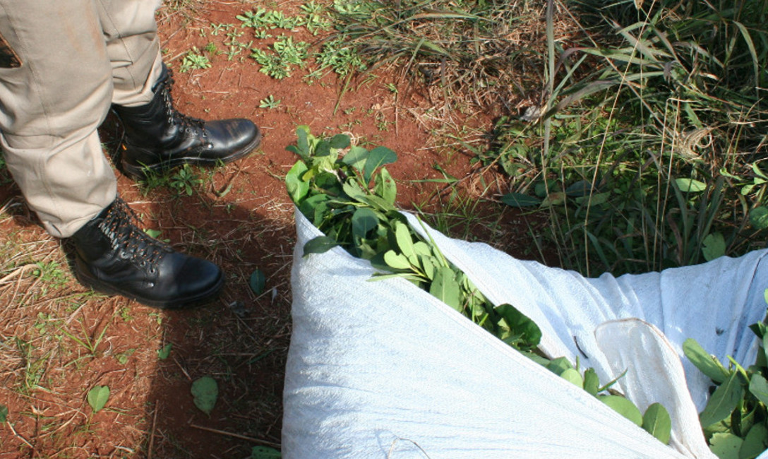Imagen de Contin&uacute;a la entrega de kits sanitarios para tareferos