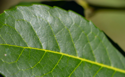 Imagen de Asumieron los Directores por Secaderos