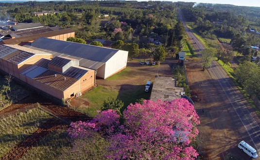 Imagen de El sector yerbatero mantiene la calidad para abastecer a los consumidores