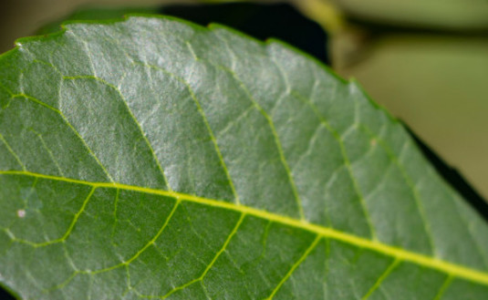 Imagen de Asumieron los representantes de Cooperativas en el Directorio