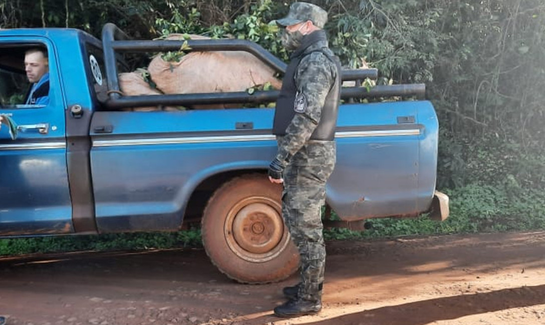 Imagen de Continuamos nuestra tarea de fiscalización en establecimientos, rutas y chacras Imagen de Continuamos nuestra tarea de fiscalización en establecimientos, rutas y chacras