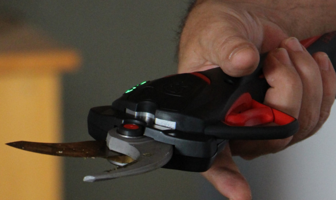 Imagen de Continuamos la entrega de herramientas para mejorar el trabajo en los yerbales Imagen de Continuamos la entrega de herramientas para mejorar el trabajo en los yerbales