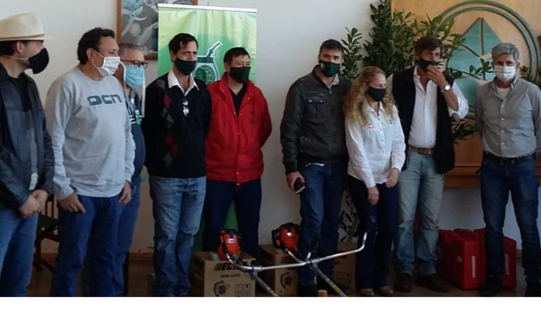 Imagen de Más pequeños productores con tijeras electrónicas Imagen de Más pequeños productores con tijeras electrónicas