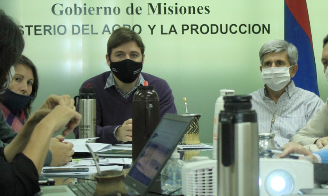 Imagen de Junto al Ministerio del Agro buscamos unificar acciones para mejores resultados en el sector yerbatero Imagen de Junto al Ministerio del Agro buscamos unificar acciones para mejores resultados en el sector yerbatero