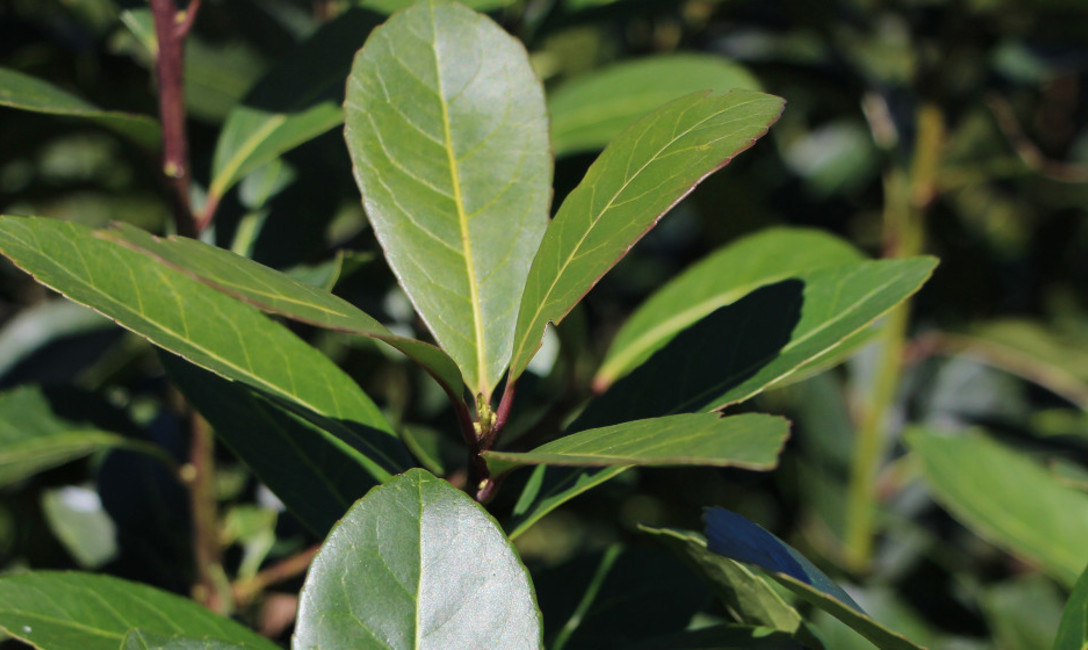 Imagen de La producci&oacute;n  y el consumo se mantienen constantes