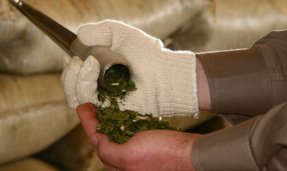 Imagen de Intensificaremos los controles de yerba mate importada Imagen de Intensificaremos los controles de yerba mate importada