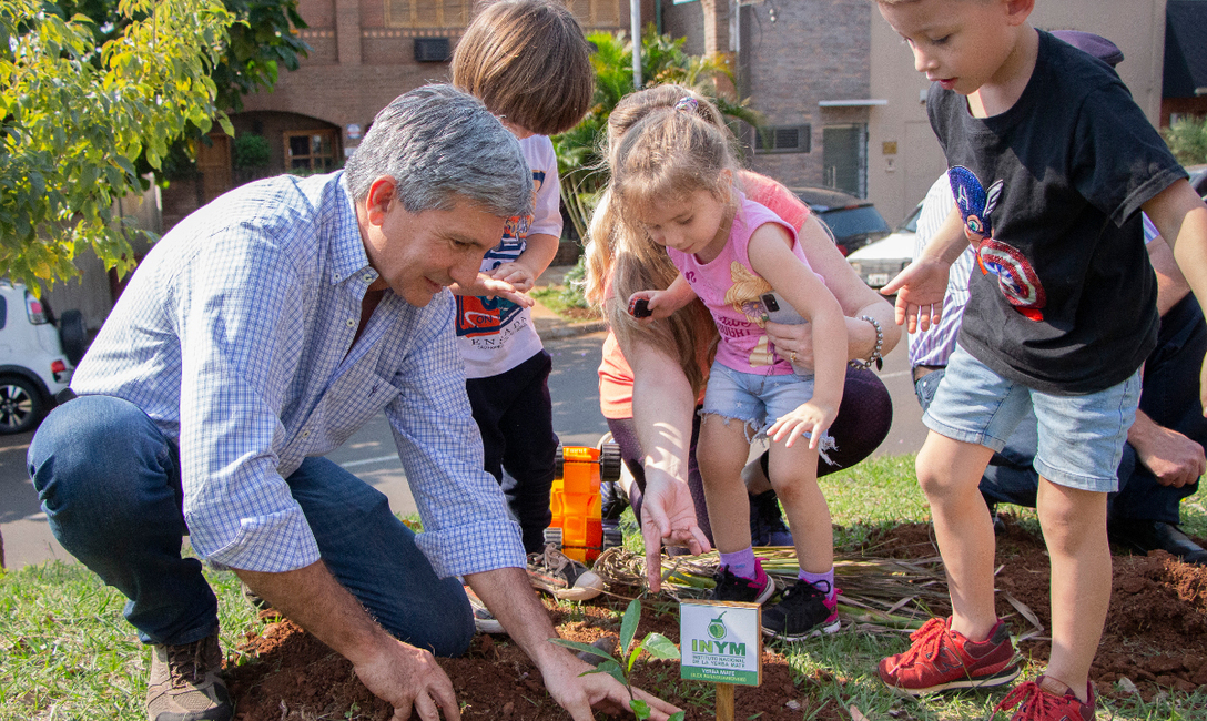 Imagen de “La Yerba Mate es el gran árbol de la tierra colorada” Imagen de “La Yerba Mate es el gran árbol de la tierra colorada”