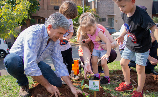Imagen de La Yerba  Mate es el gran árbol de la tierra colorada