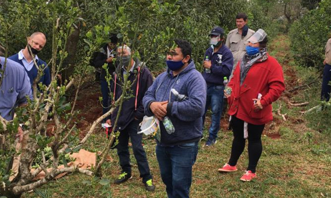 Imagen de Capacitación a tareferos en San Pedro, Misiones Imagen de Capacitación a tareferos en San Pedro, Misiones