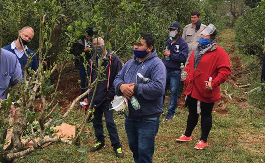 Imagen de Capacitación a tareferos en San Pedro, Misiones