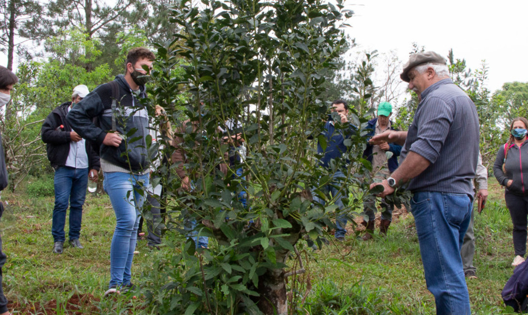Imagen de Comenzó el ciclo de capacitaciones para los cosecheros Imagen de Comenzó el ciclo de capacitaciones para los cosecheros