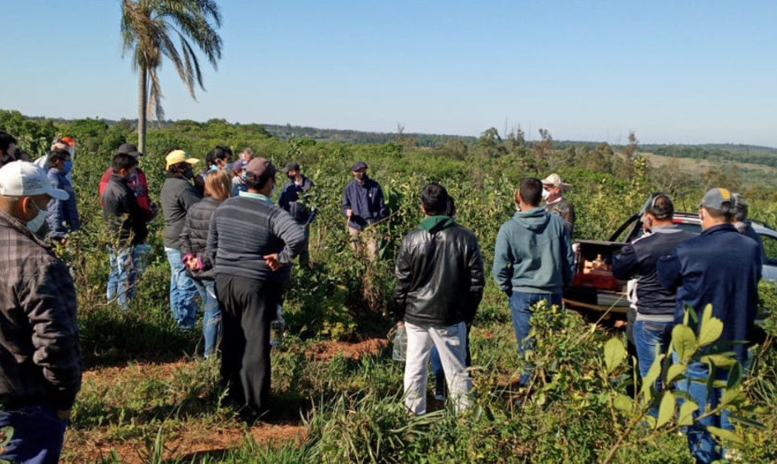 Imagen de Capacitación a tareferos Imagen de Capacitación a tareferos