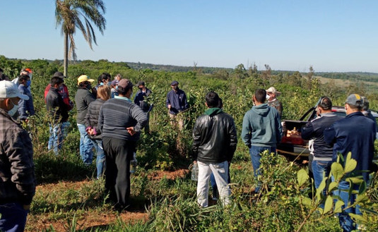 Imagen de Capacitación a tareferos