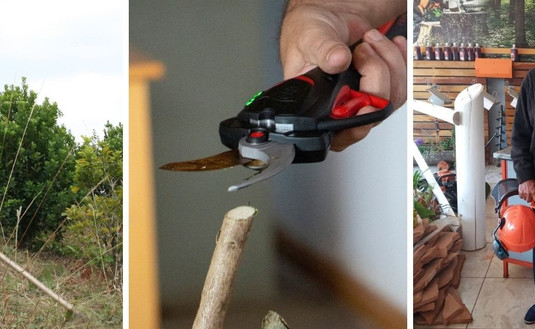 Imagen de Motosierras, motoguadañas y tijeras electrónicas