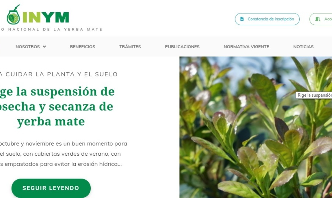 Imagen de Renovamos nuestro sitio web Imagen de Renovamos nuestro sitio web