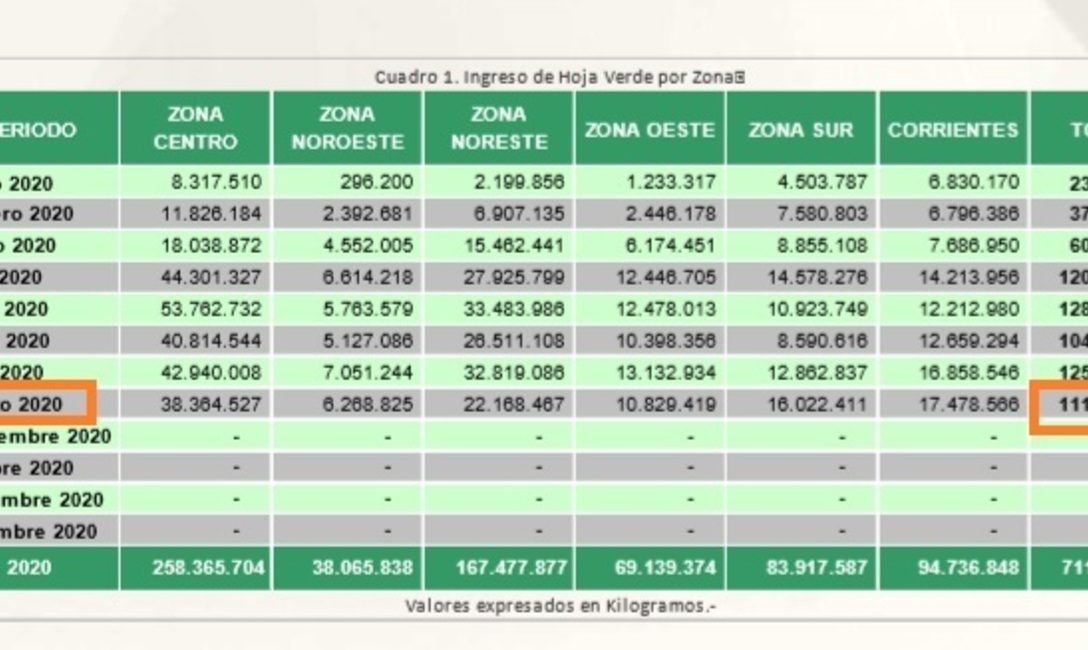 Ingresaron a secaderos 111,13 millones de kilos de hoja verde, totalizando un volumen de 711,7 millones de kilos para el periodo enero – agosto. Ingresaron a secaderos 111,13 millones de kilos de hoja verde, totalizando un volumen de 711,7 millones de kilos para el periodo enero – agosto.