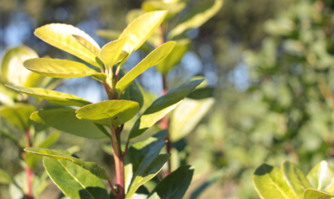 Comienzan las re inscripciones Comienzan las re inscripciones