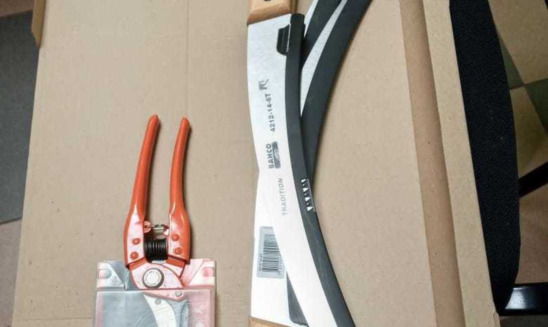 Imagen de Cosecheros de Itacaruaré se capacitan en manejo de yerbales Imagen de Cosecheros de Itacaruaré se capacitan en manejo de yerbales