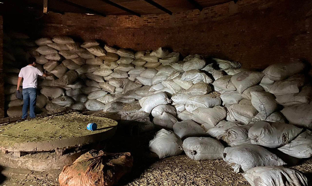 Imagen de Intervenimos alrededor de 90 mil kilos de palo de yerba Imagen de Intervenimos alrededor de 90 mil kilos de palo de yerba