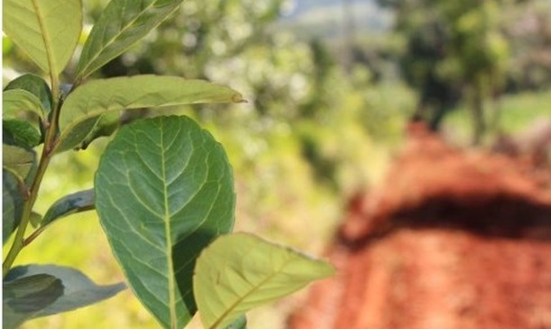 Actividad distributiva: los beneficios llegan a muchas familias Actividad distributiva: los beneficios llegan a muchas familias