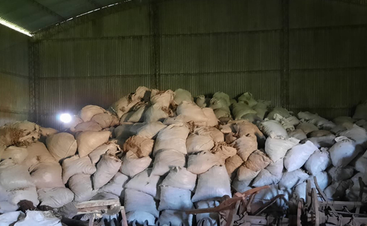 Imagen de Más palos de  yerba intervenidos por el INYM