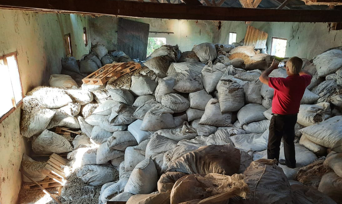 Imagen de Más palos de yerba intervenidos por el INYM Imagen de Más palos de yerba intervenidos por el INYM