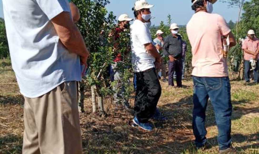 Imagen de Este martes,capacitación para cosecheros Imagen de Este martes,capacitación para cosecheros