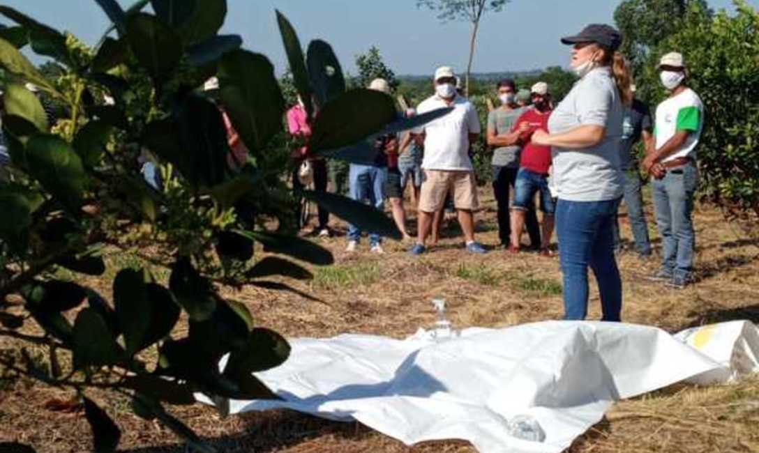 Imagen de Este martes,capacitación para cosecheros Imagen de Este martes,capacitación para cosecheros