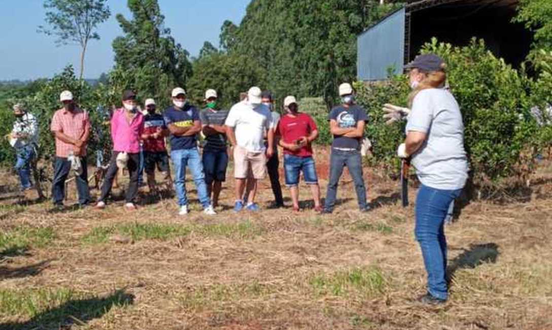 Imagen de Este martes,capacitación para cosecheros Imagen de Este martes,capacitación para cosecheros