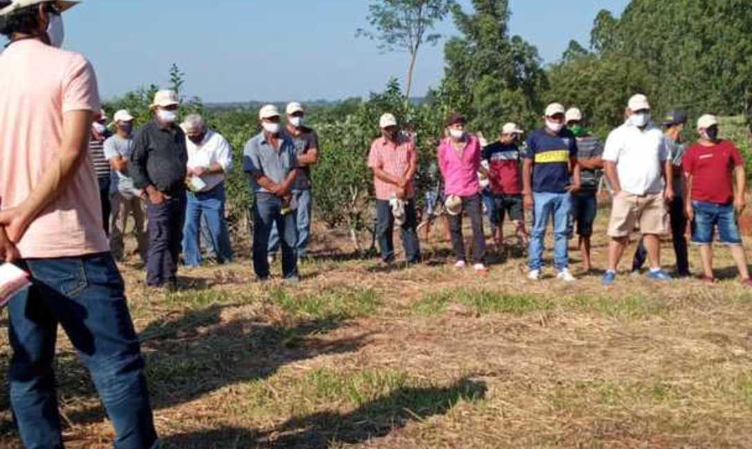 Imagen de Este martes,capacitación para cosecheros Imagen de Este martes,capacitación para cosecheros