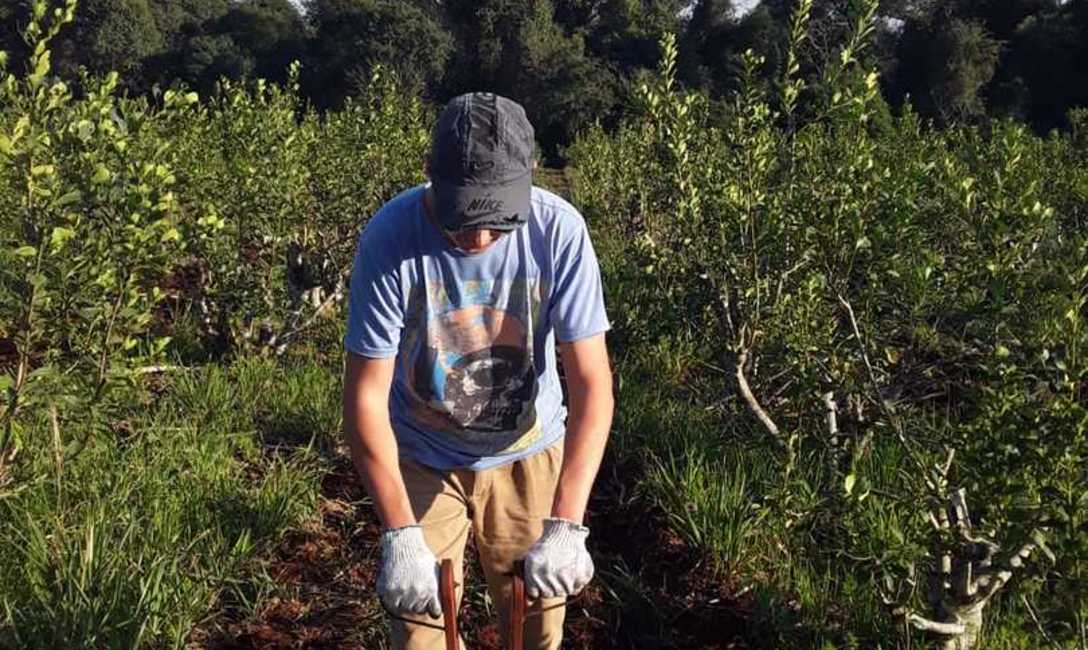 En la casa de Joaquín, la jornada laboral comienza muy temprano En la casa de Joaquín, la jornada laboral comienza muy temprano