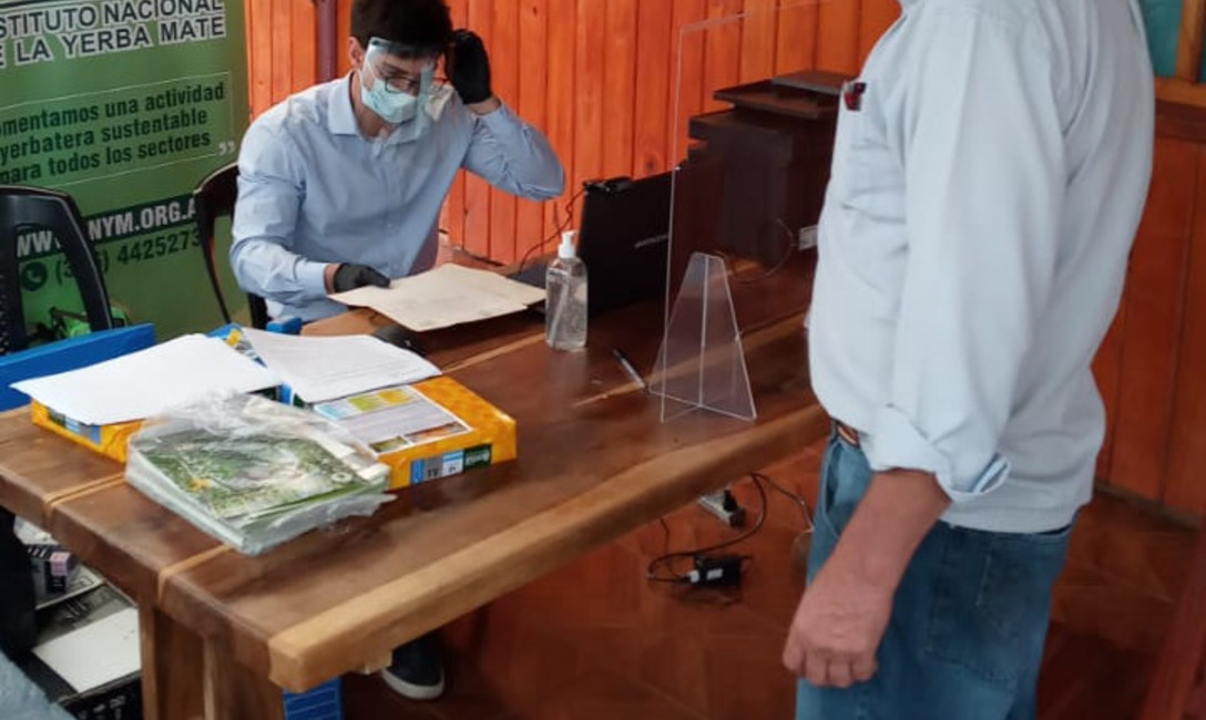 Imagen de El INYM estará en San Vicente para inscribir yerbales y productores Imagen de El INYM estará en San Vicente para inscribir yerbales y productores